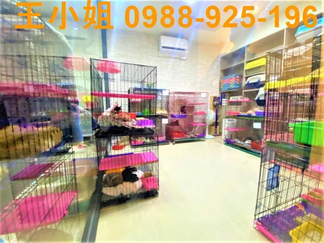 桃園桃園區公寓-5