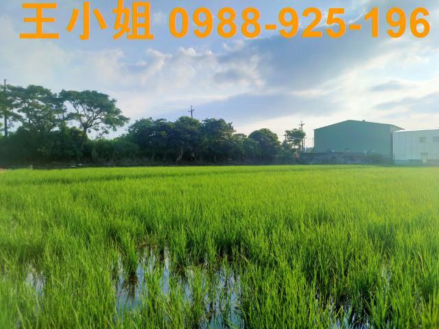 桃園八德農舍-5