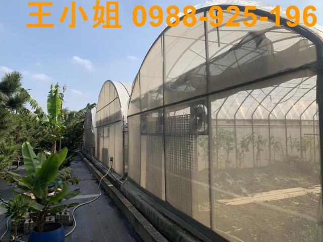 桃園中壢透天-10