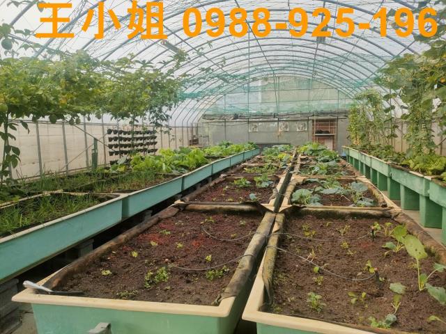 桃園中壢透天-11