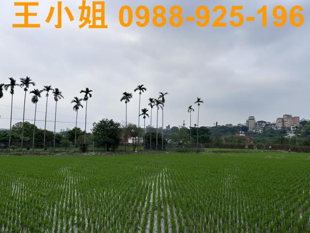 大溪透天-12