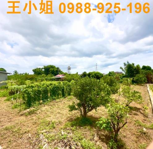 八德透天-4