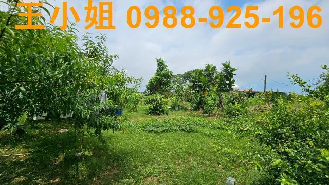 大園農舍-2