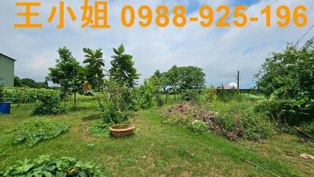 大園農舍-3