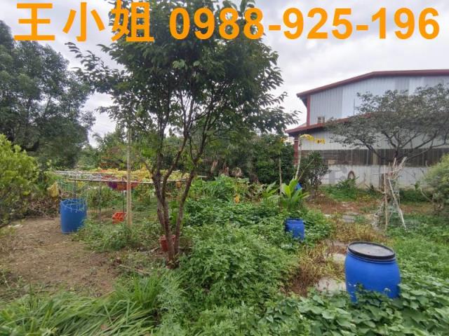 龍潭農舍-7