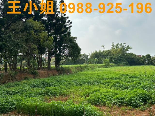 桃園中壢農舍-3