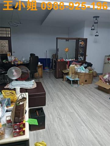 桃園大園透天-1