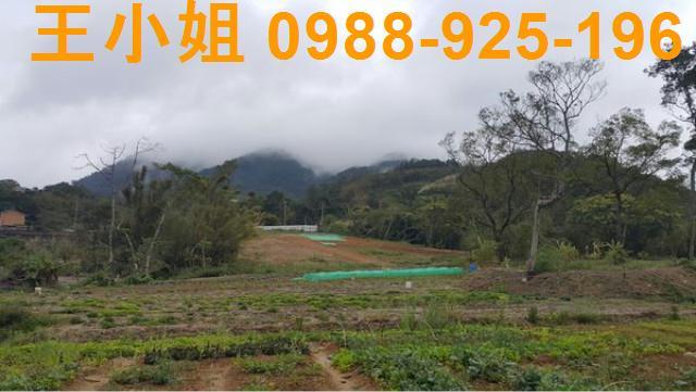 龍潭農地-6