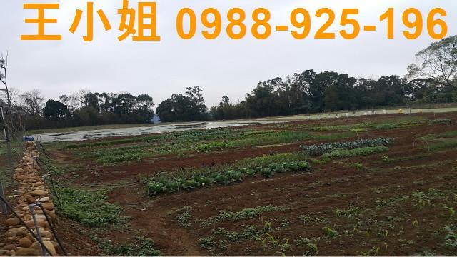 桃園大溪農地-2