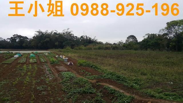 桃園大溪農地-3