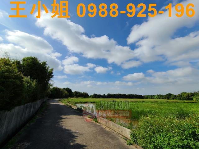 楊梅農地-1