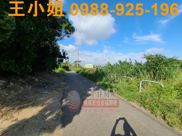桃園農地-1
