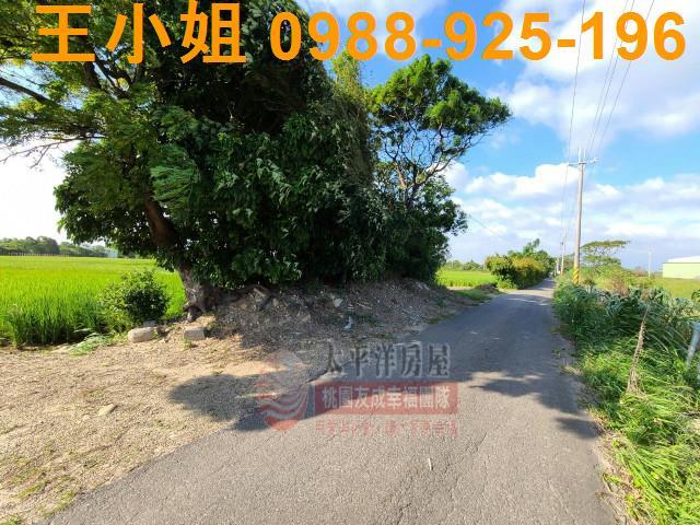 桃園農地-2