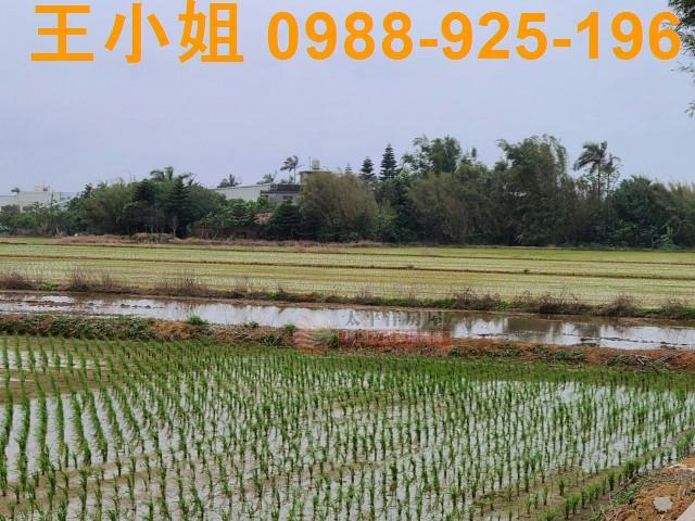 桃園農地-2