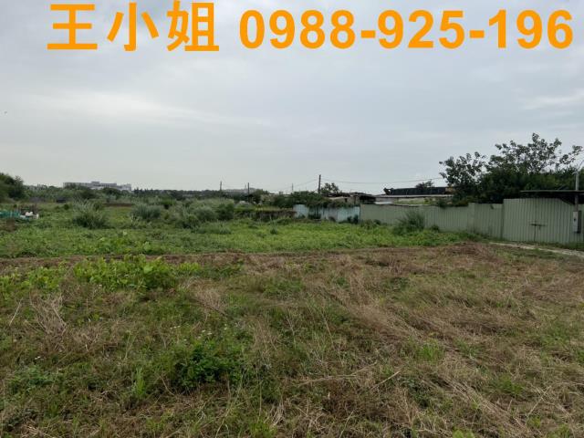 桃園農地-6