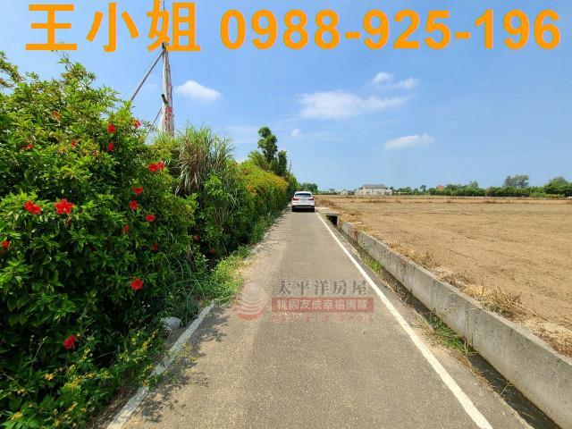 桃園觀音農地-0