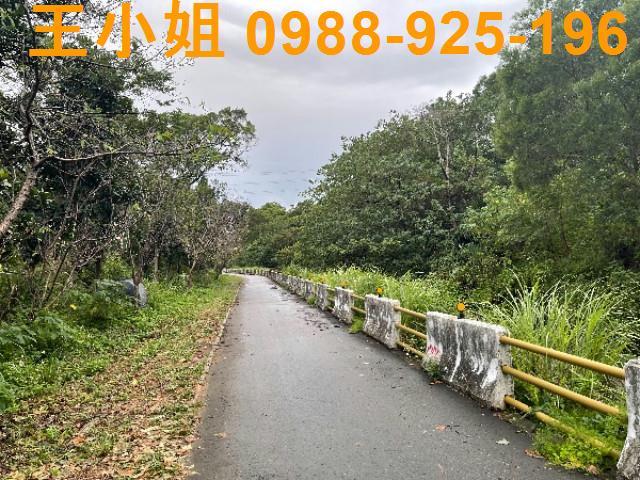 桃園農地-1