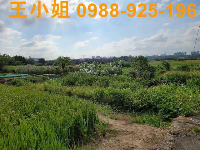 桃園農地-1