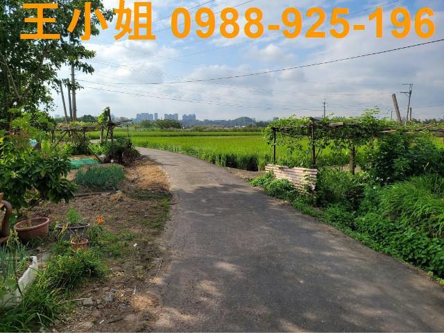 桃園農地-2