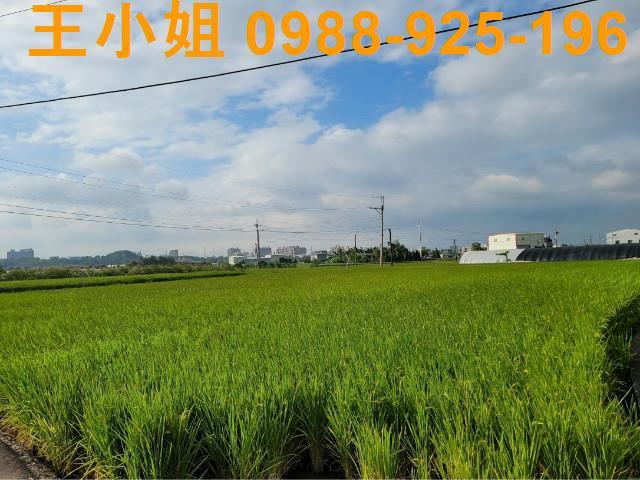 桃園農地-3