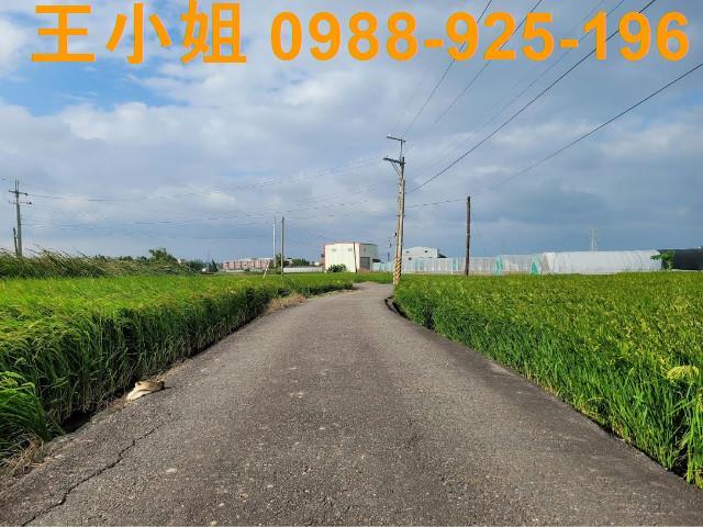 桃園農地-4