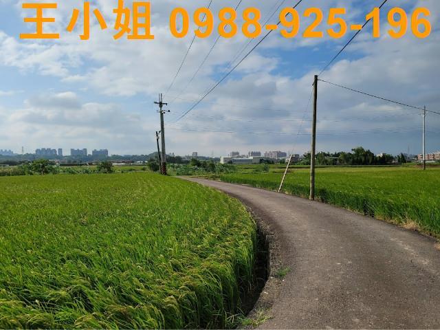 桃園農地-5