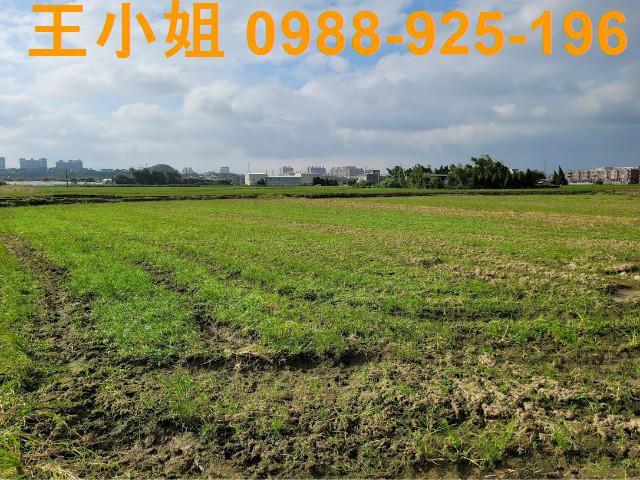 桃園農地-6