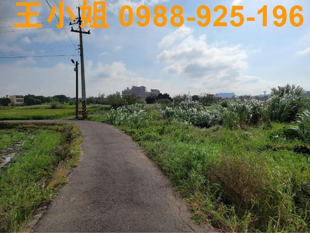 桃園農地-7