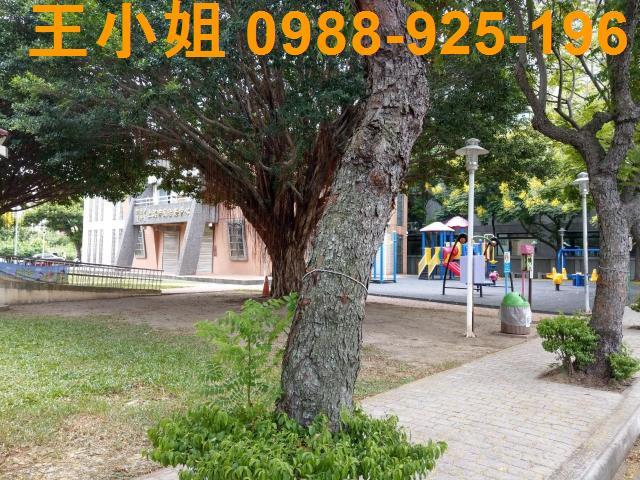 蘆竹建地-1