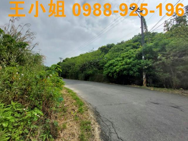 桃園桃園區農地-2