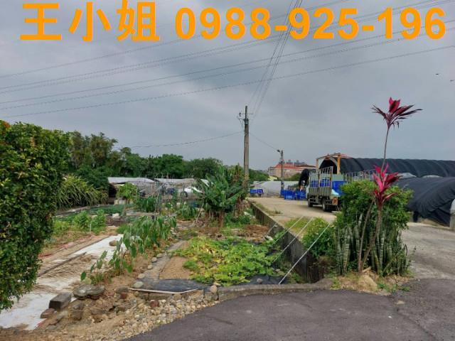 桃園桃園區農地-3