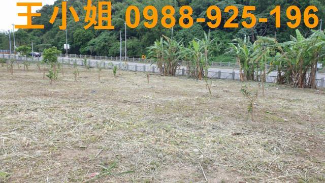 桃園農地-4