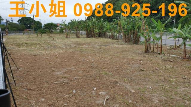 桃園農地-5