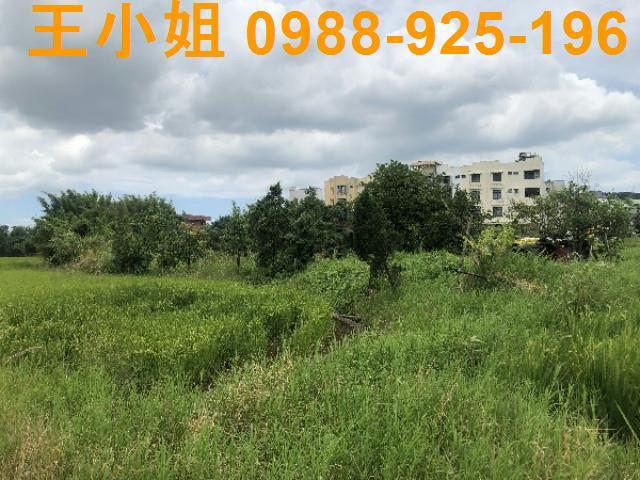 桃園蘆竹農地-9