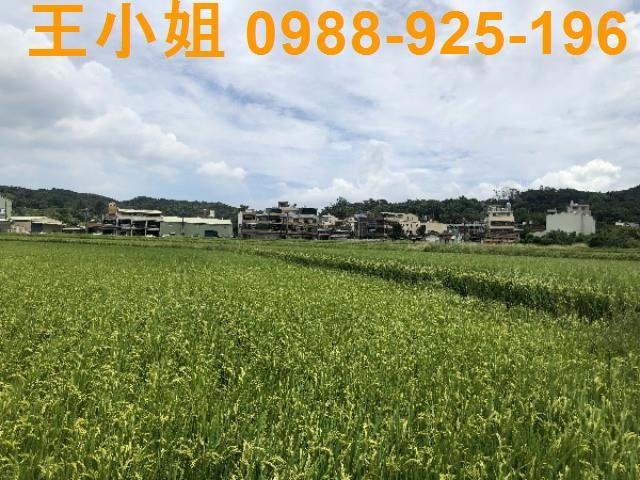 桃園蘆竹農地-11