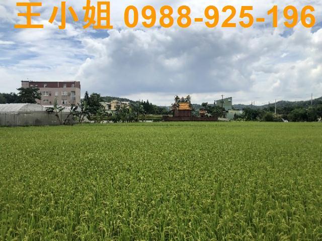 桃園蘆竹農地-12