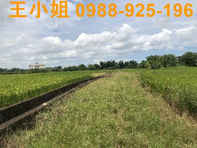 桃園蘆竹農地-4