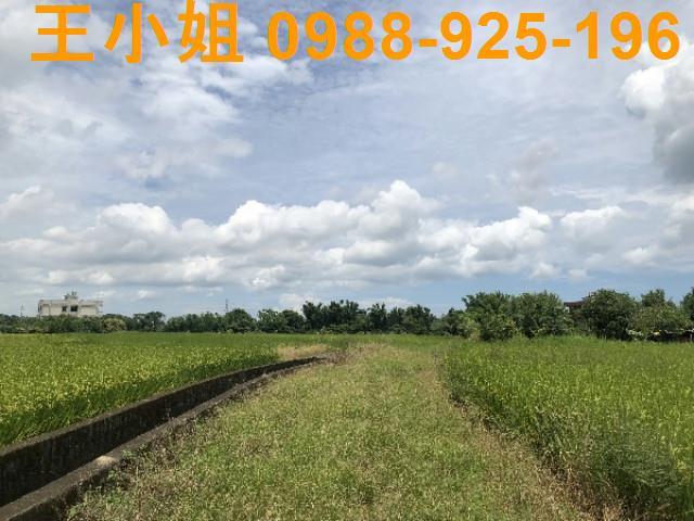 桃園蘆竹農地-5