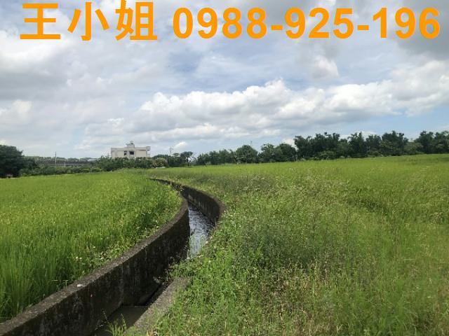 桃園蘆竹農地-7