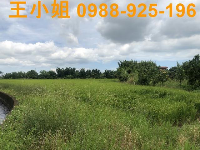 桃園蘆竹農地-8