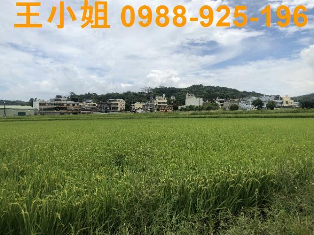 桃園蘆竹農地-9