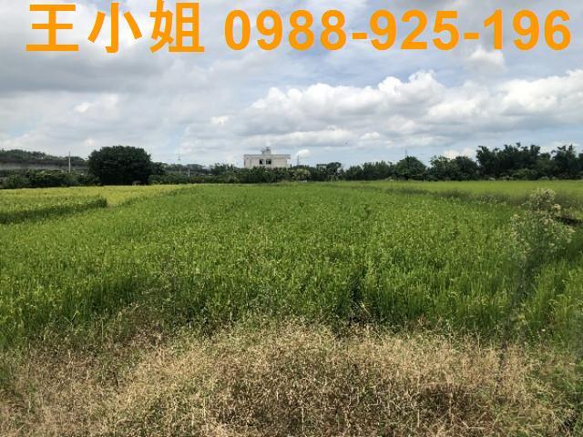 桃園蘆竹農地-12