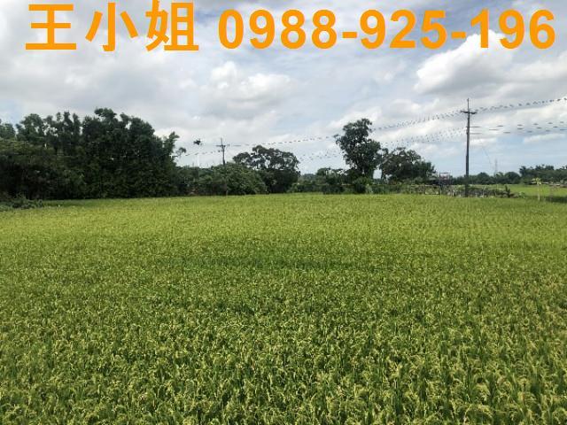 桃園蘆竹農地-13