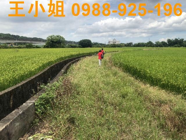 桃園蘆竹農地-3