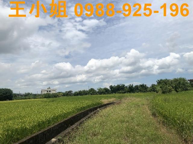 桃園蘆竹農地-4