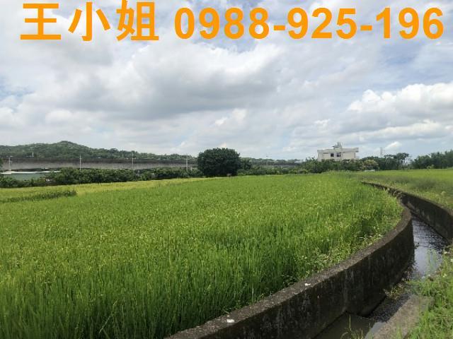 桃園蘆竹農地-5