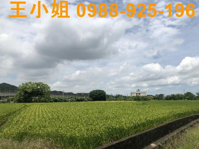 桃園蘆竹農地-6