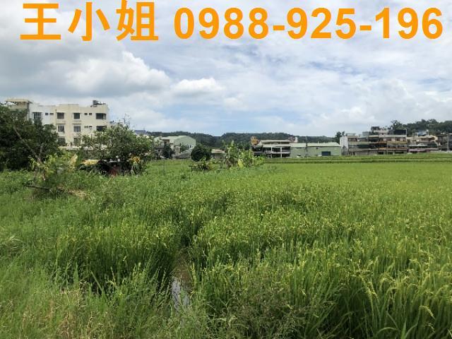 桃園蘆竹農地-7