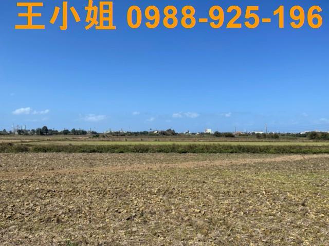 桃園觀音農地-9