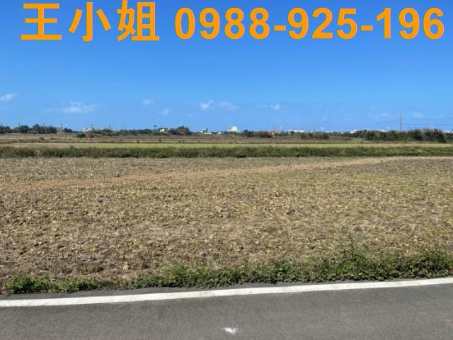 桃園觀音農地-8